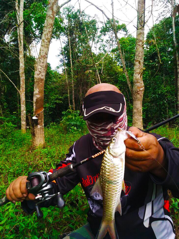 lyee caster menggunakan micro spoon kanicen nix grenti strike red eye memburu serigala sungai