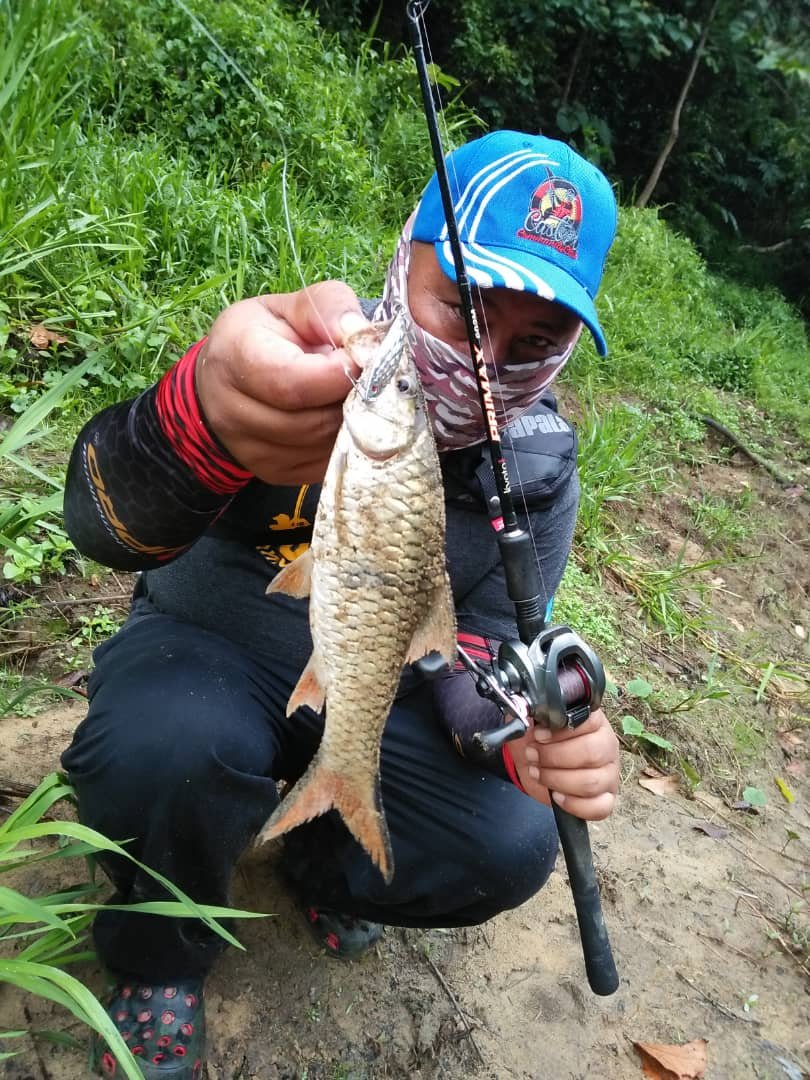 sebarau hampala menggunakan spoon grenti strike red eye