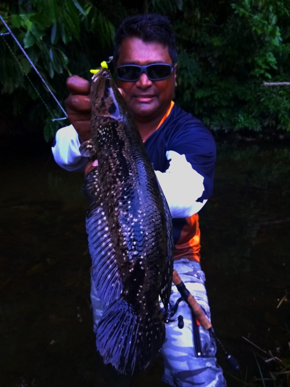 kanicen-nix-bujuk-channa-lucius-geli-geli