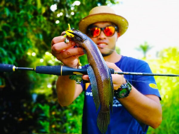 Haruan Runtu Muhammad Zafri: Trip Mancing Memburu Ikan Haruan Runtu di Sarawak