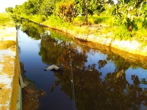 lokasi-kedua-parit-sg-besar-target-ikan-lampam-dengan-setup-ultralight-sailang