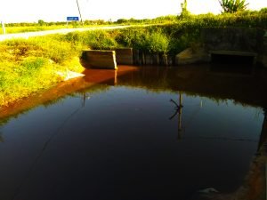 lokasi-ketiga-parit-sg-besar-target-ikan-lampam-dengan-setup-ultralight-sailang