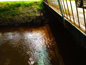 lokasi-parit-sg-besar-target-ikan-lampam-dengan-setup-ultralight-sailang