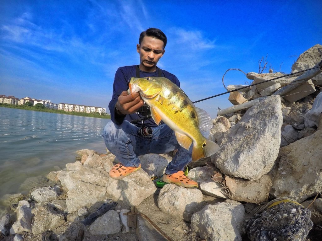 wawan-peacock-bass-kanicen-nix-sailang-grenti-strike-soft-bait