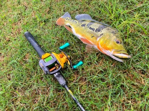 CILOK-CILOK SINKING MINNOW HANDMADE photo review