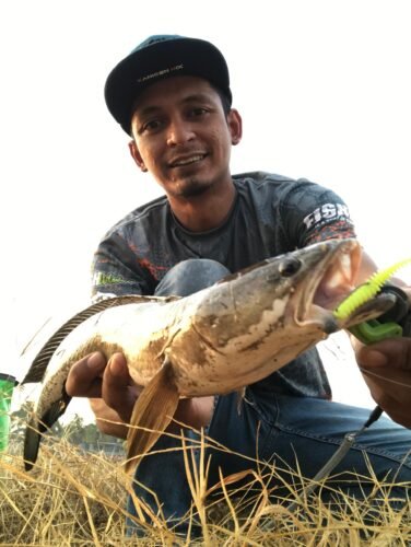 GRENTI STRIKE GELI GELI WORMS photo review