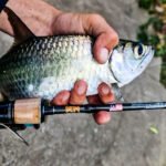 GRENTI STRIKE GELI GELI WORMS photo review