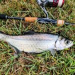 GRENTI STRIKE GELI GELI WORMS photo review