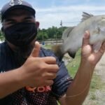 HALUS UPGRADED BRAIDED FISHING LINES photo review