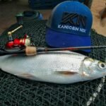 HALUS UPGRADED BRAIDED FISHING LINES photo review