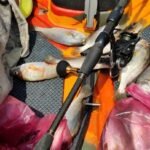 GRENTI STRIKE GELI GELI WORMS photo review