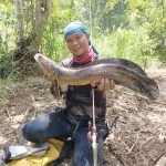 CILOK-CILOK SINKING MINNOW HANDMADE photo review