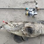 GRENTI STRIKE GELI GELI WORMS photo review