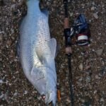 GRENTI STRIKE GELI GELI WORMS photo review