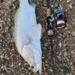 GRENTI STRIKE GELI GELI WORMS photo review