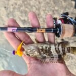 GRENTI STRIKE GELI GELI WORMS photo review